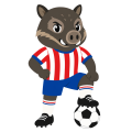 WPT扑克2025安卓旗舰版-WPT扑克官方APP下载IOS/安卓/手机版/网页版/安装通道